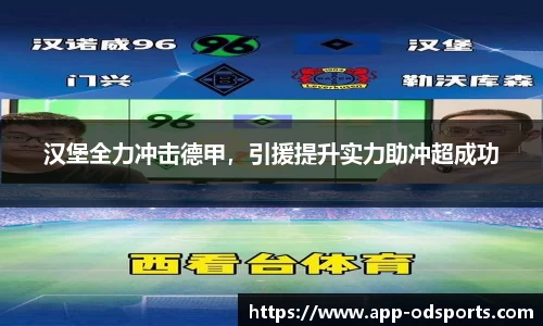 汉堡全力冲击德甲，引援提升实力助冲超成功